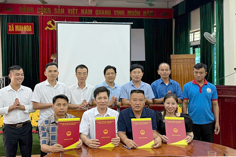 anh 3 cong ty tnhh dua leo que vung mien ubnd xa mai hoa va htx nhat hang ky ket ban ghi nho hop tac lien ket san xuat tieu thu dua chuot