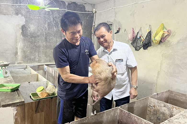 hinh 1manh dan thay doi nuoi dui thanh cong