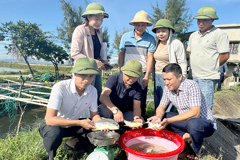 2can bo chuyen nganh kiem tra nghiem thu mo hinh nuoi ca chim vay vang tai phuong hai ninh