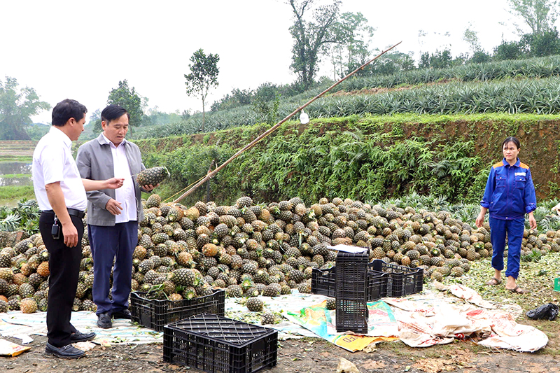 z7358871555032 de784305b74a8a91b7fa365319ad876b