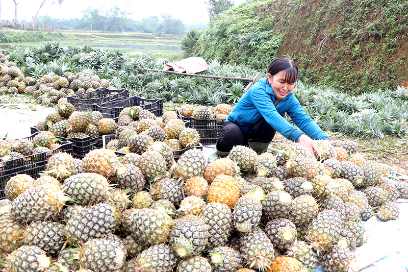 z7358871555285 f01607eea5cc2a25b8aebb8b7dd7b2c5