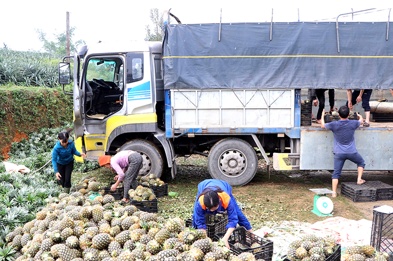 z7358871569057 ec86cc3a9647519a219a1376151b0f83