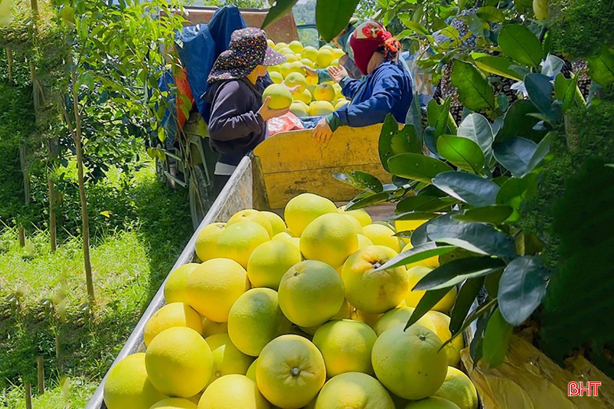 bht brd z7013369301585 16819f0de9a5948c3151ea5ca6bf5b99