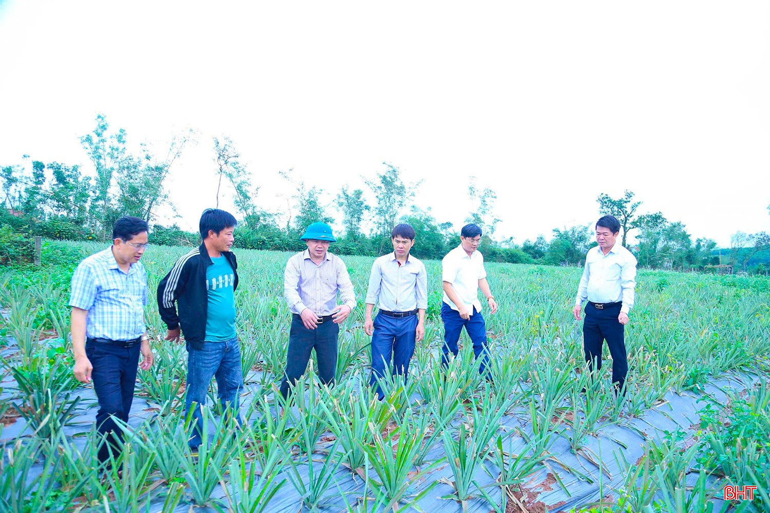 bht brd z7596390271549 f38ee3c90e656f1394c5599618ceaa4c 274