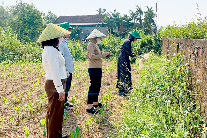 668611825 122117187783231233 4360501312857946883 n