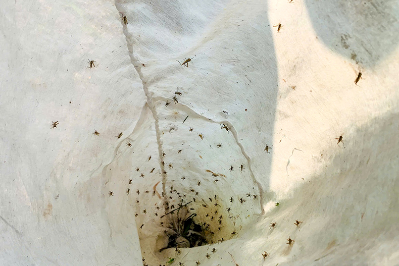 669582877 122117187897231233 3371249866843445373 n 1