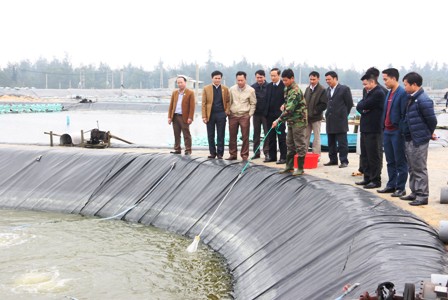 3. Đoàn tham quan mô hình nuôi tôm công nghệ cao của Công ty CP xây lắp Thành Vinh tại xã Thạch Trị