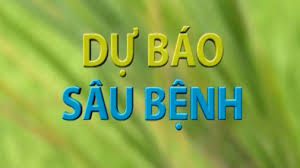Dự báo tình hình các đối tượng dịch hại trên cây trồng vụ Đông năm 2020