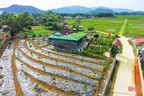 Cẩm Xuyên đặt mục tiêu hoàn thành tiêu chí huyện nông thôn mới trong tháng 8/2020