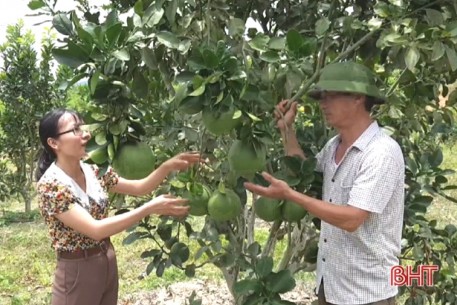 Cựu binh Hà Tĩnh bán tài sản, ngược ngàn chinh phục núi rừng Kỳ Sơn