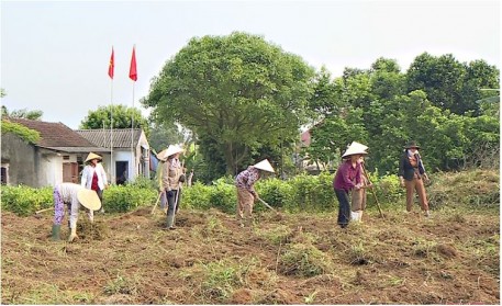 Cách làm hay của phụ nữ Cẩm Xuyên trong xây dựng Nông thôn mới