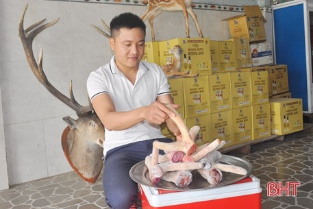 Nghe “tỷ phú chân đất” ở Hà Tĩnh kể chuyện làm giàu