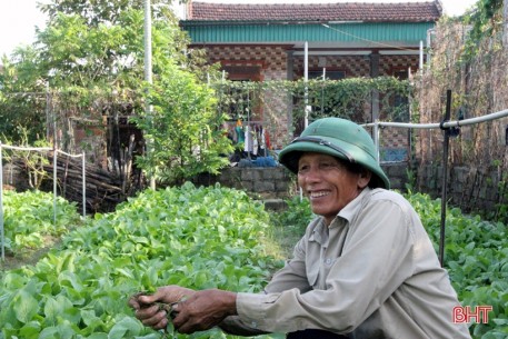 Bí quyết giữ vườn rau sạch, xanh mướt trong mùa nắng của nông dân Hà Tĩnh