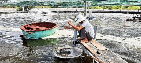 Bản tin cảnh báo thời tiết nắng nóng và các biện pháp bảo vệ các đối tượng thủy sản nuôi, hạn chế các tác động bất lợi của thời tiết nắng nóng.