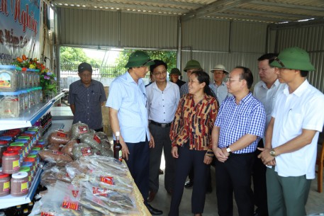 Hà Tĩnh: Công nghiệp “mắt xích” quan trọng trong xây dựng tỉnh nông thôn mới bền vững
