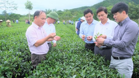 Hương Sơn: Phát huy tiềm năng, lợi thế địa phương trong thực hiện Chương trình OCOP