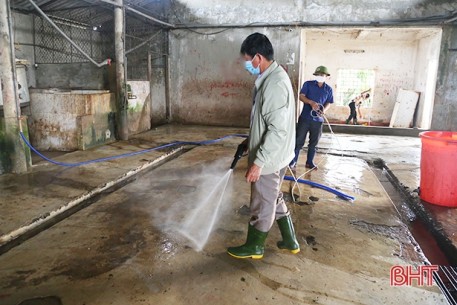 Ngăn ngừa dịch bệnh “tấn công” đàn vật nuôi ở Hà Tĩnh