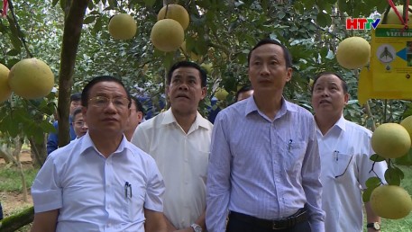 Nông thôn mới – Điểm sáng cả nhiệm kỳ