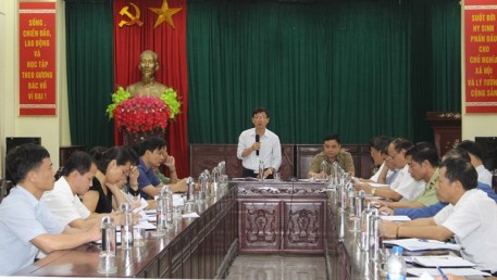 Hòa Bình: "Tuần lễ cam Cao Phong năm 2020" sẽ diễn ra trong tháng 11