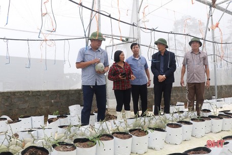 Tập trung khôi phục sản xuất, ứng phó với diễn biến phức tạp của thời tiết