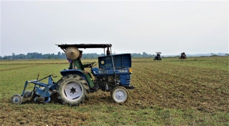 Hương Giang tập trung làm đất sản xuất 110 ha ngô vụ Đông và rau màu các loại