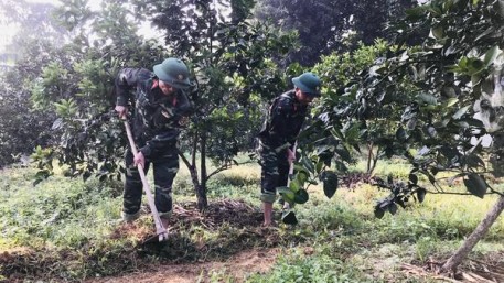 Lực lượng vũ trang nêu cao tinh thần, trách nhiệm đồng hành xây dựng nông thôn mới