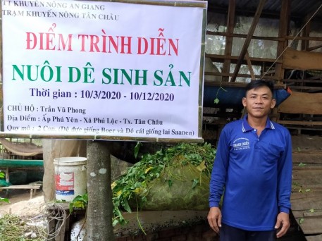 An Giang: Hiệu quả mô hình chăn nuôi dê sinh sản khi sử dụng các chế phẩm sinh học