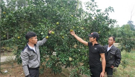 Thắm tình đoàn kết ở Khu dân cư mẫu thôn 9, Hương Đô