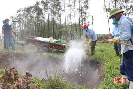 Tiêu hủy 39 con lợn dương tính với dịch tả lợn châu Phi