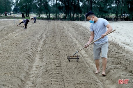 Hà Tĩnh “hồi sinh” sau mưa lũ