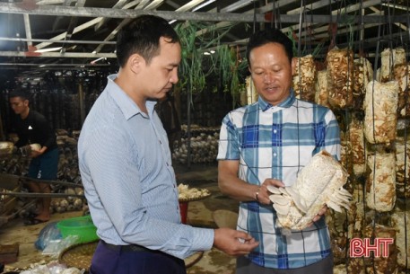 “Tôi quyết tâm đưa các loại nấm của HTX trở thành sản phẩm OCOP”