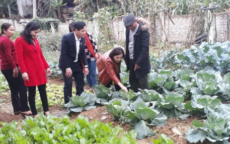 Mô hình 'Nhà sạch - vườn mẫu' đảm bảo vệ sinh an toàn thực phẩm, góp phần xây dựng nông thôn mới kiểu mẫu