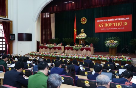 Đại biểu HĐND tỉnh Hà Tĩnh bàn giải pháp phát triển kinh tế - xã hội năm 2021