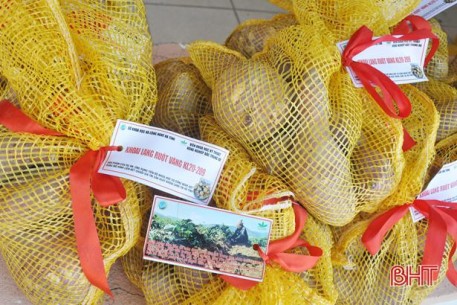 Nghiệm thu dự án: Ứng dụng tiến bộ KH&CN xây dựng mô hình liên kết chuổi giá trị sản xuất khoai lang