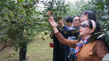 Hội LHVH Văn học nghệ thuật tham quan thực tế sáng tác nông thôn Hà Tĩnh - Xưa và nay tại Hương Khê