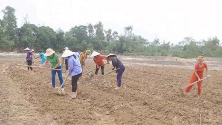 Nông dân Hà Tĩnh tái sản xuất vụ đông sau lũ