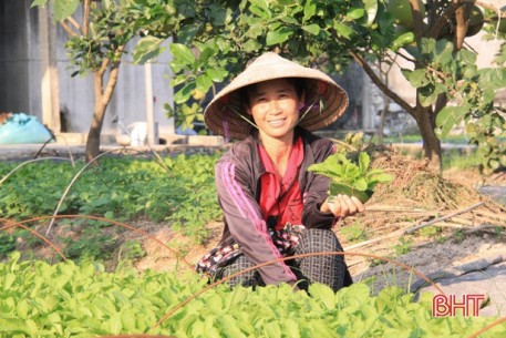 Nông dân Hà Tĩnh linh hoạt ứng phó với thời tiết, sáng tạo trong sản xuất