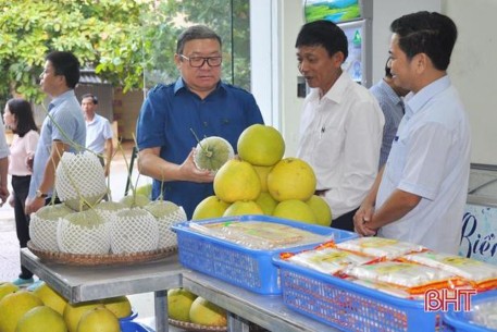 Cửa hàng nông sản an toàn - kênh tiêu thụ sản phẩm hiệu quả của nông dân Hà Tĩnh
