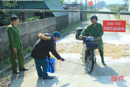 Xuất hiện dịch tả lợn châu Phi tại Nghi Xuân