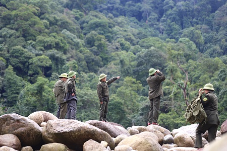 Tăng cường công tác quản lý, bảo vệ và phát triển rừng trước, trong và sau Tết Nguyên đán Tân Sửu năm 2021