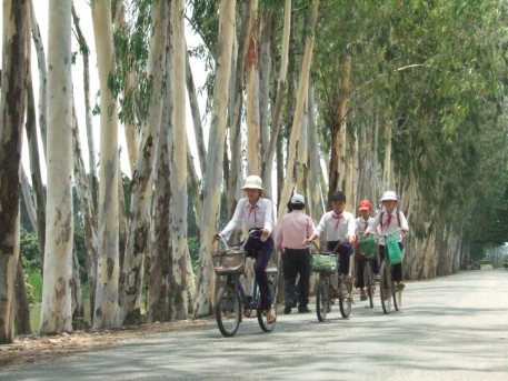 Mùa xuân là tết trồng cây…