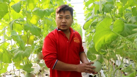 Chàng sinh viên với niềm đam mê khắc chữ trên dưa lưới