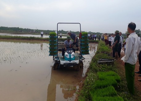 Hà Nội: Đẩy mạnh cơ giới hóa vào sản xuất để hướng tới sản xuất hàng hóa