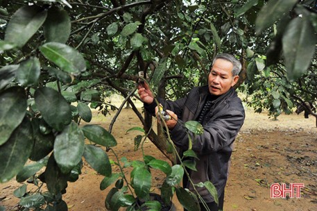 Bí thư kiêm trưởng thôn cùng người dân xứ đạo xây miền quê trù phú