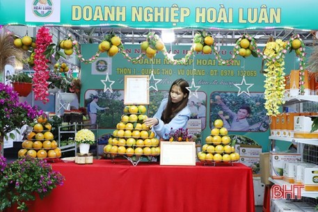 Nhiều cơ sở “bội thu” nhờ Lễ hội Cam và các sản phẩm nông nghiệp Hà Tĩnh
