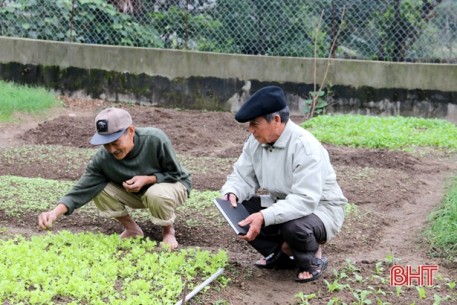 Ông bí thư chi bộ “gõ từng nhà” xây dựng đô thị văn minh ở TX Kỳ Anh