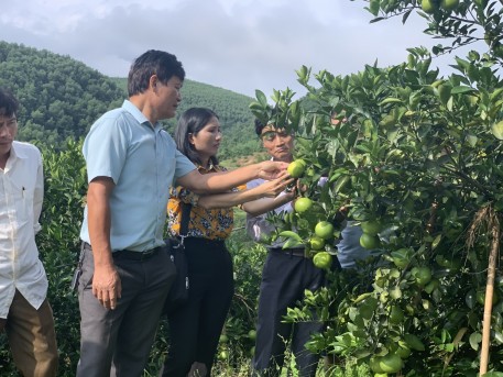 Xây dựng chuỗi liên kết để sản xuất bền vững