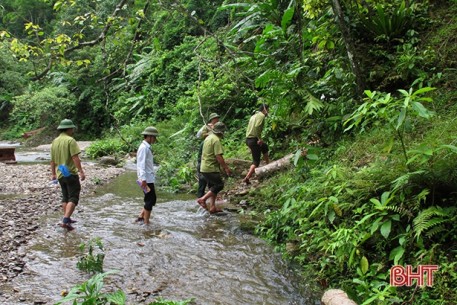 Hà Tĩnh giữ cho những cánh rừng ngút ngàn xanh