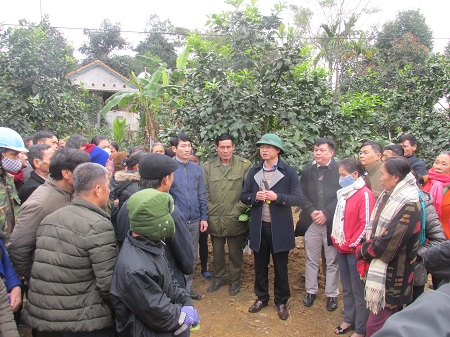 Tập trung chăm sóc cây ăn quả sau thu hoạch