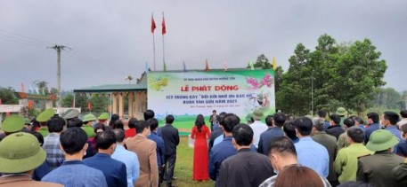 Hương Sơn ra quân tết trồng cây